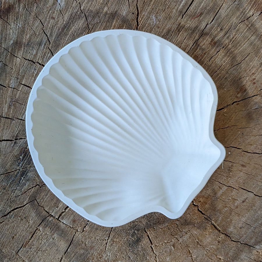 Shell Candle Plates