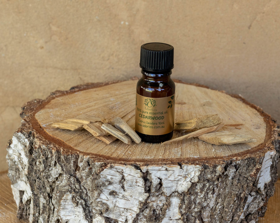 CEDARWOOD (Cedrus Deodara) | Pure Essential Oil