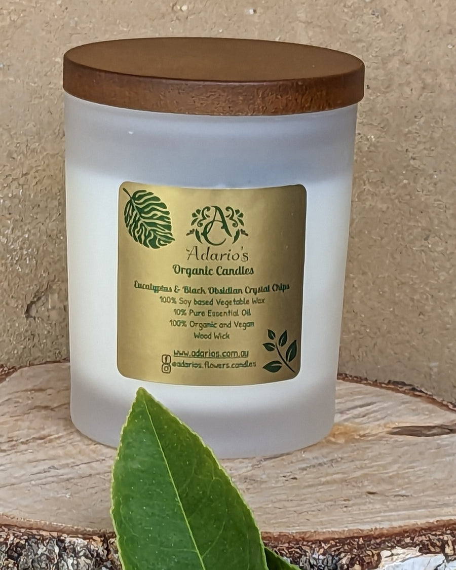 Eucalyptus | Organic Soy Candle