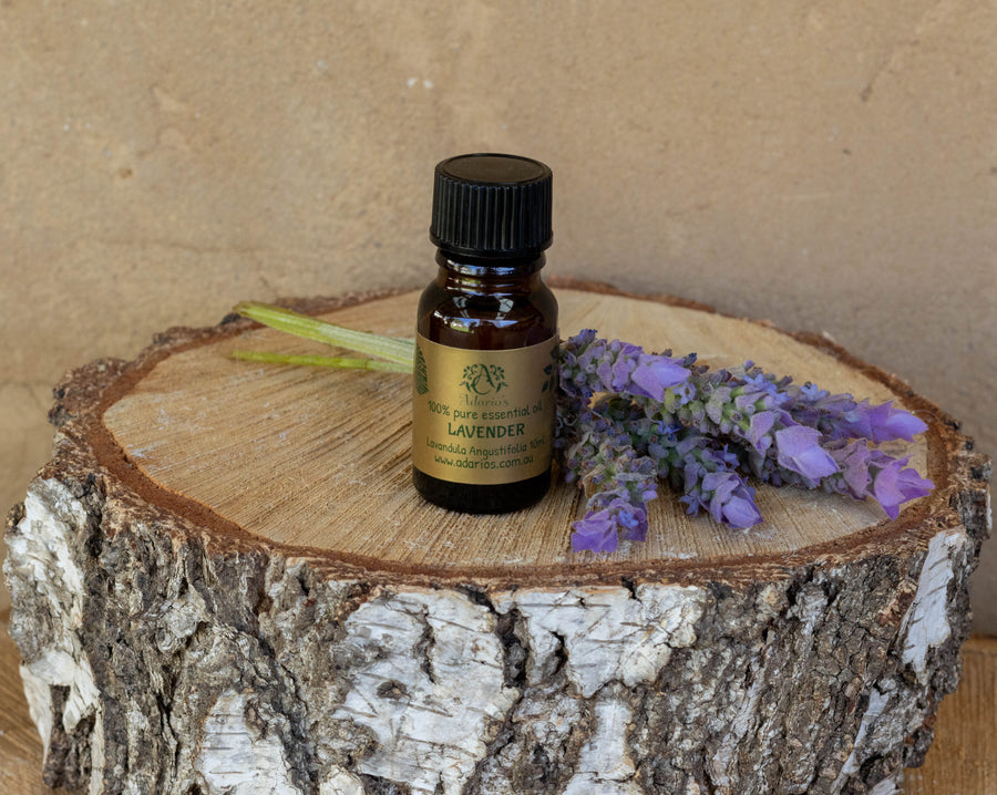 LAVENDER (Lavandula Angustifolia) | Pure Essential Oil